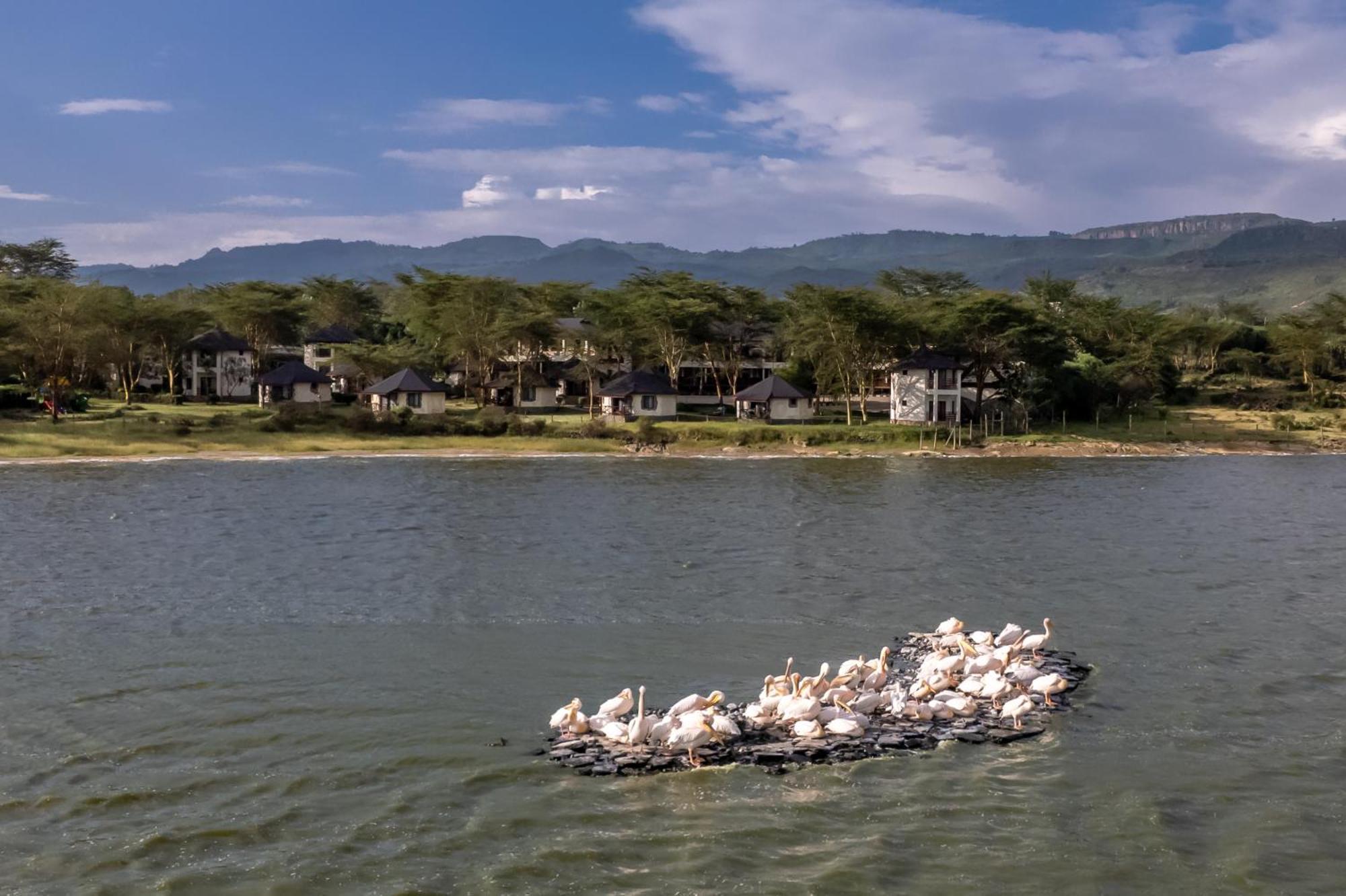 Sentrim Elementaita Lodge Elmenteita Eksteriør bilde